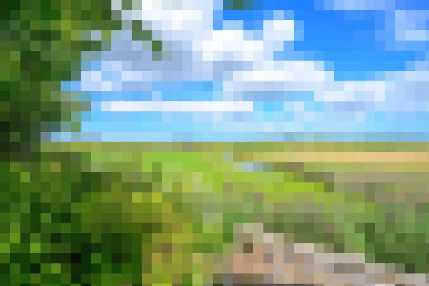 Oudedijk 8 Schagen thumbnail 83