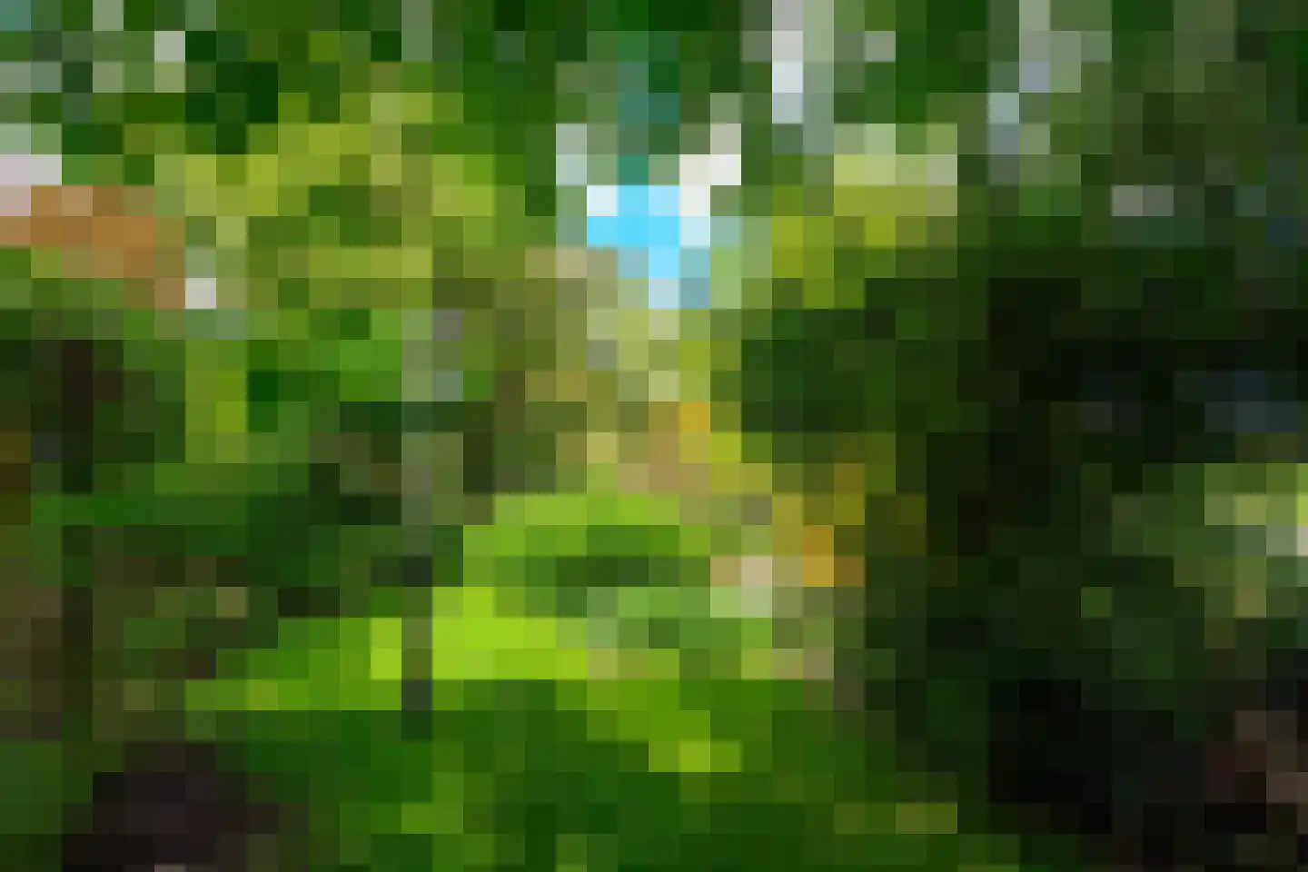 Oudedijk 8 Schagen thumbnail 85