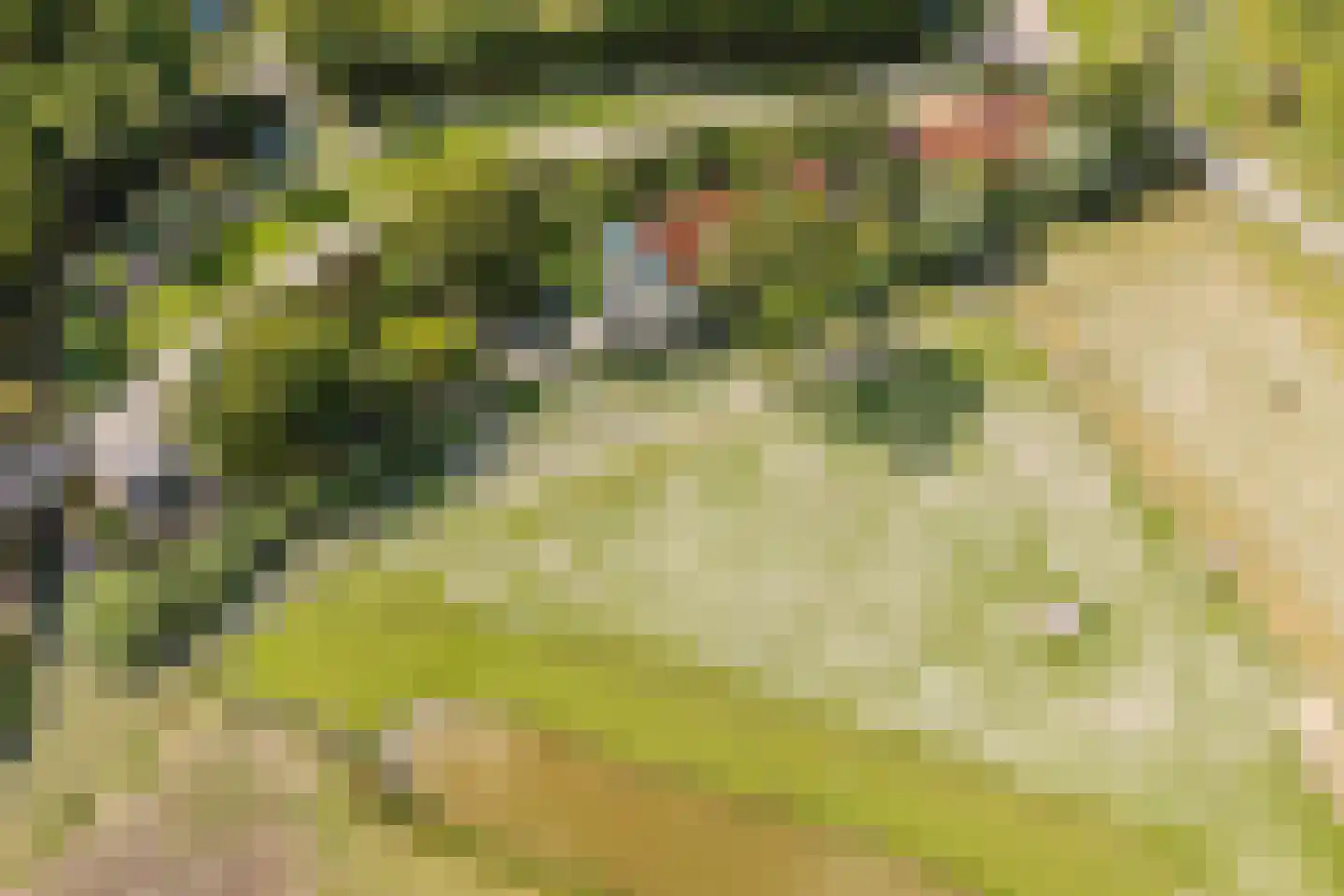 Oudedijk 8 Schagen thumbnail 86