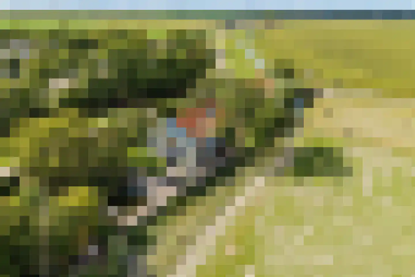 Oudedijk 8 Schagen thumbnail 87