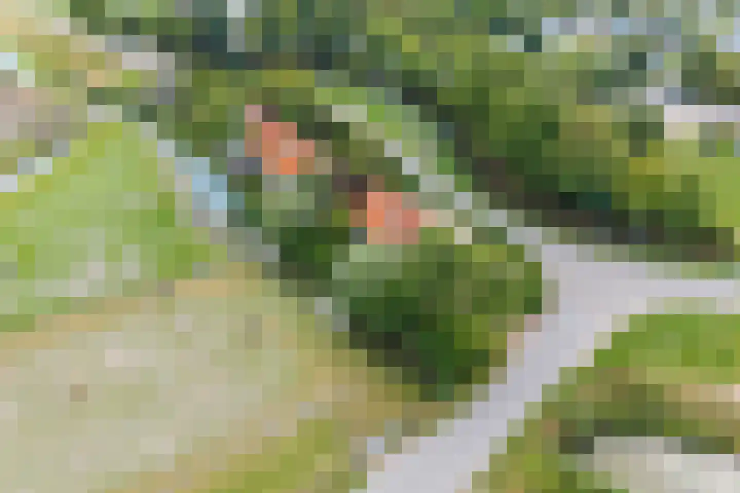 Oudedijk 8 Schagen thumbnail 88