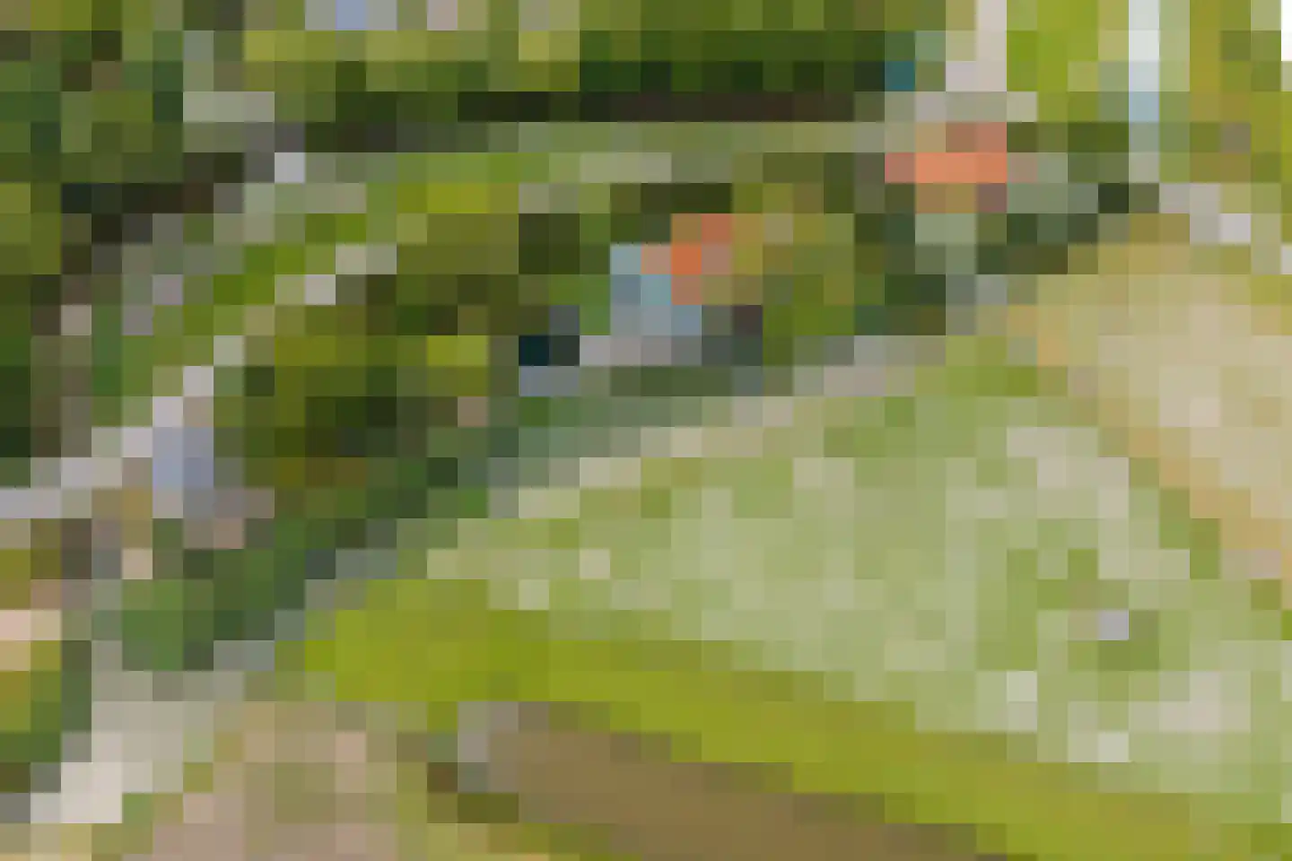 Oudedijk 8 Schagen thumbnail 93