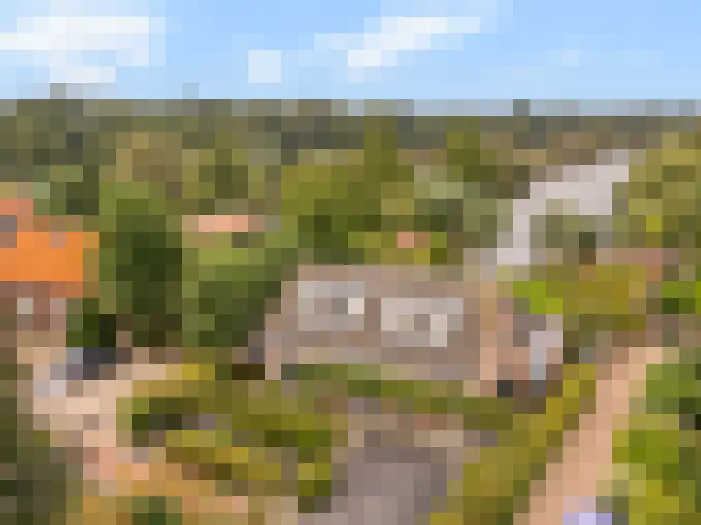 Oudedijk 8 Tienhoven thumbnail 25