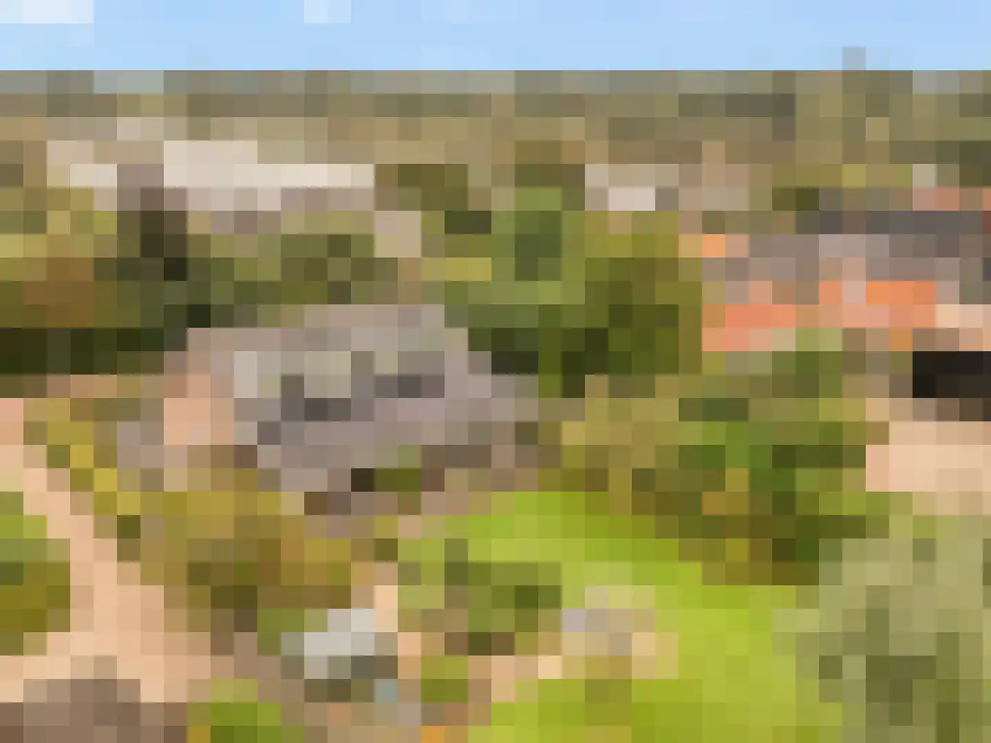 Oudedijk 8 Tienhoven thumbnail 26