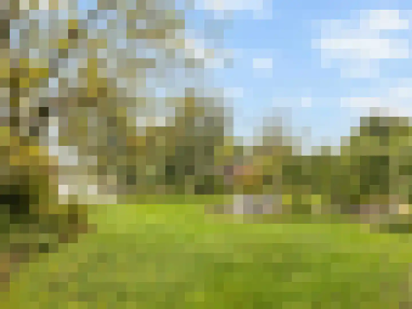 Oudedijk 8 Tienhoven thumbnail 30