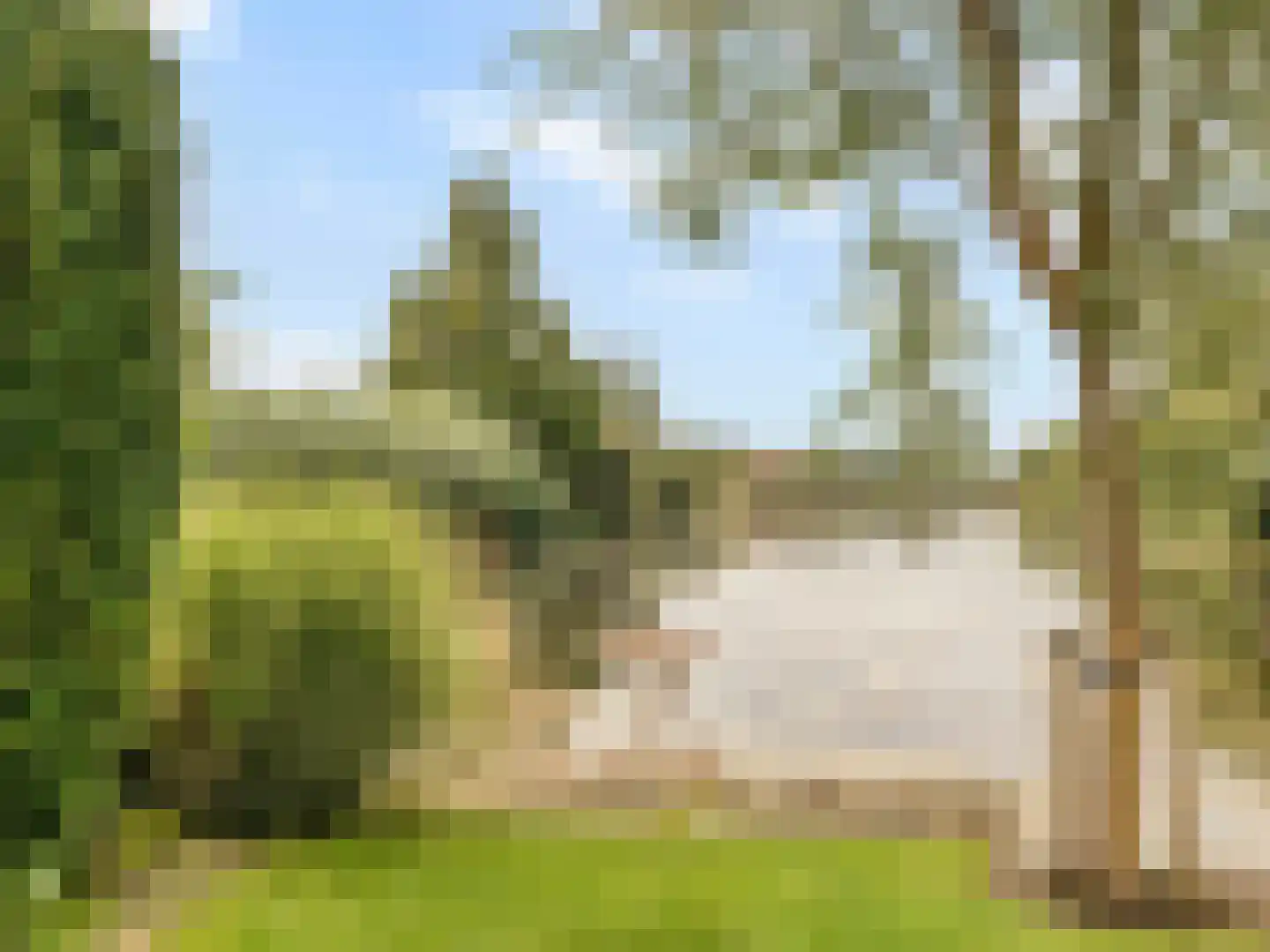 Oudedijk 8 Tienhoven thumbnail 32
