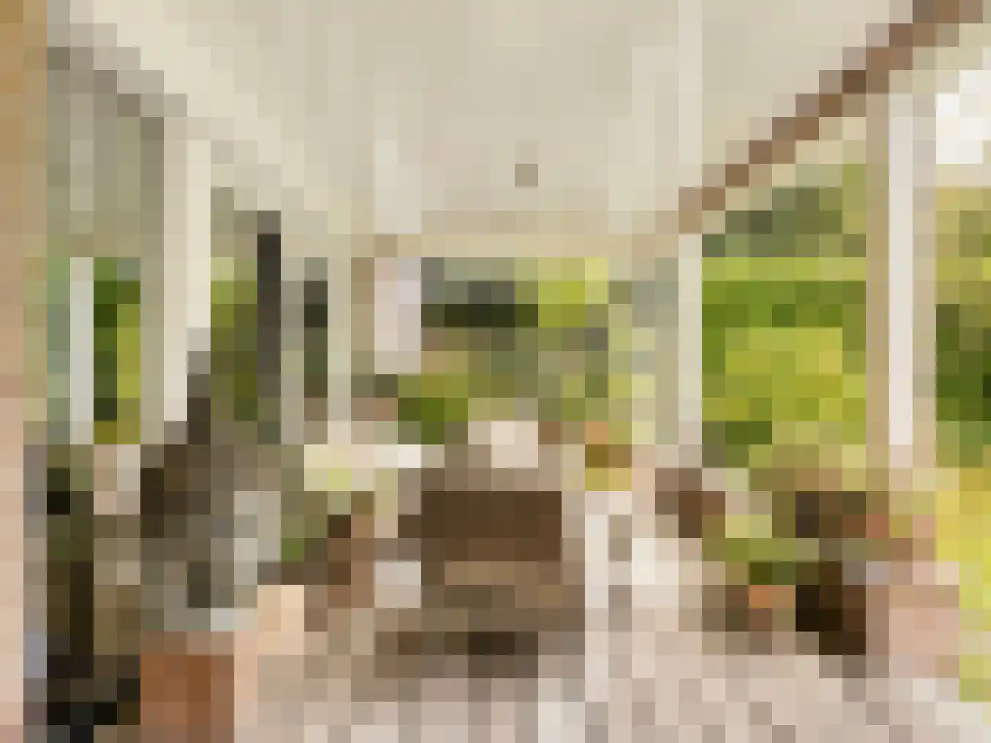 Oudedijk 8 Tienhoven thumbnail 5