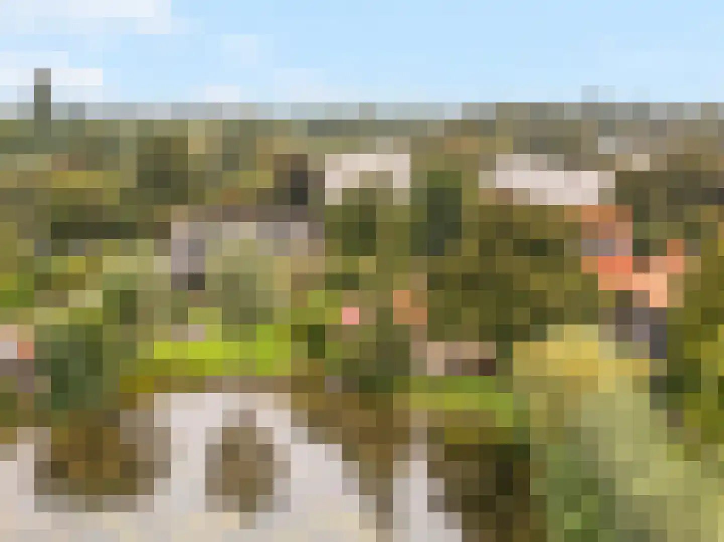 Oudedijk 8 Tienhoven thumbnail 6