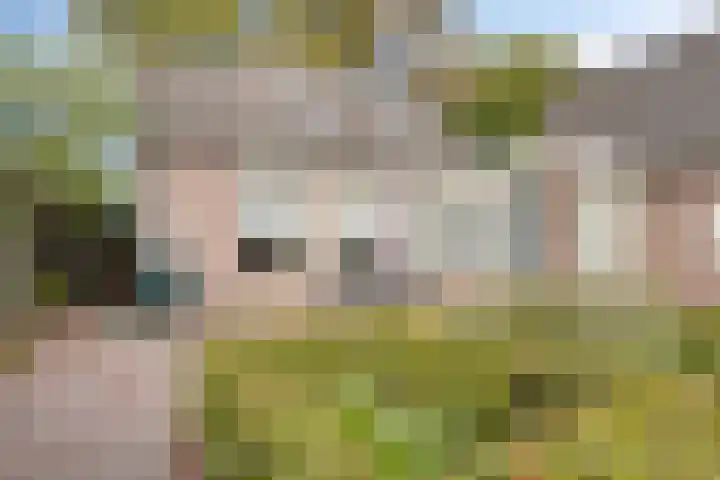 Oudedijk 91 Odiliapeel thumbnail 31
