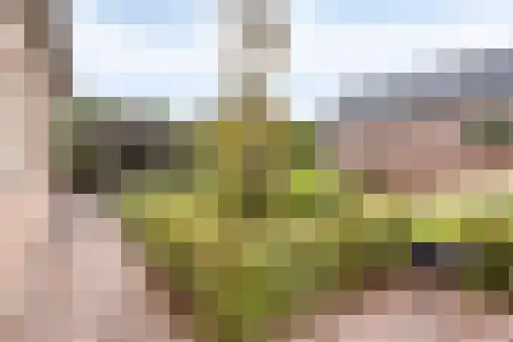 Oudedijk 91 Odiliapeel thumbnail 32