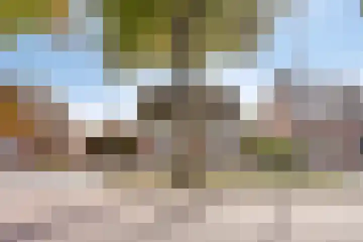 Oudedijk 91 Odiliapeel thumbnail 36