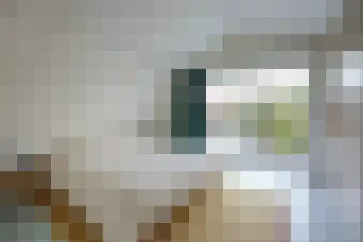 Oudedijkse Schiekade 107 Rotterdam thumbnail 18