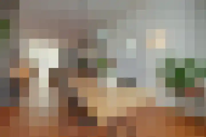 Oudedijkse Schiekade 107 Rotterdam thumbnail 5