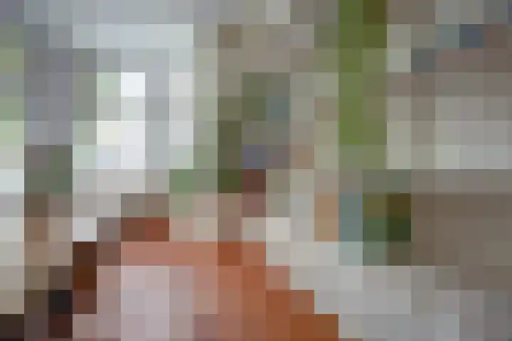 Oudedijkse Schiekade 107 Rotterdam thumbnail 7