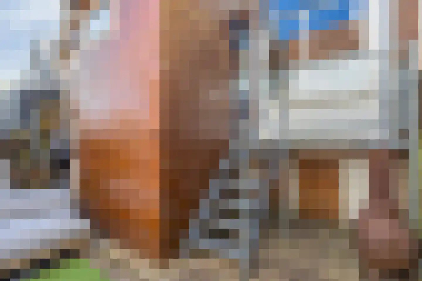 Oudedijkse Schiekade 115 Rotterdam thumbnail 24