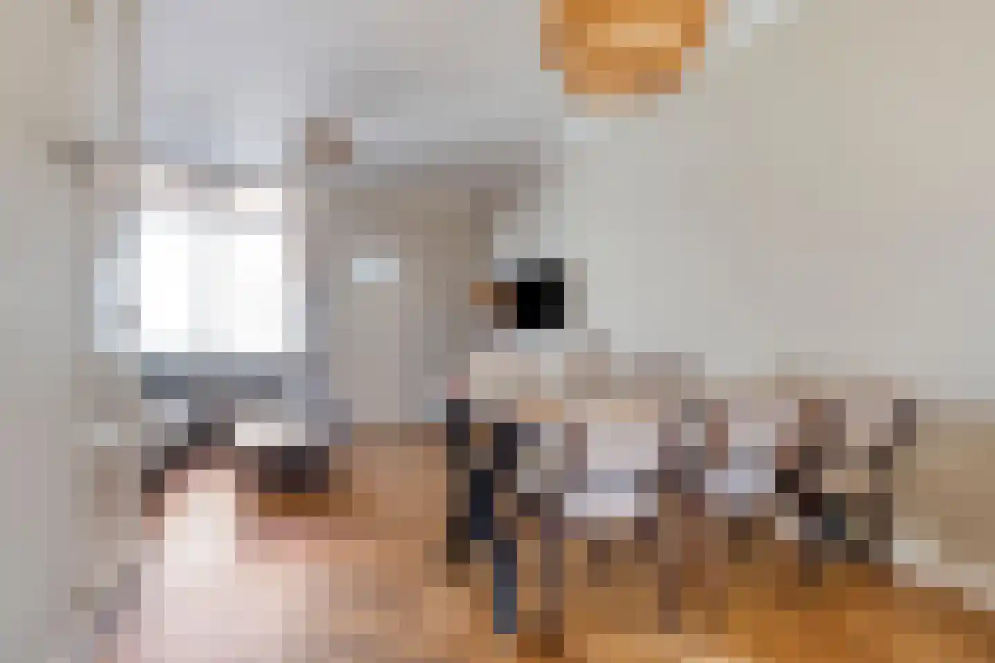 Oudedijkse Schiekade 115 Rotterdam thumbnail 5