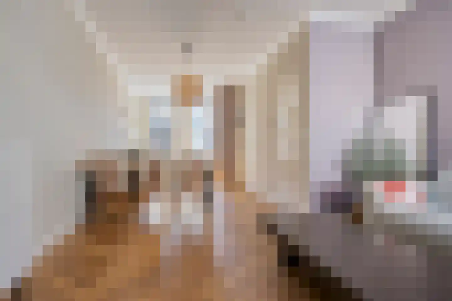 Oudedijkse Schiekade 115 Rotterdam thumbnail 9