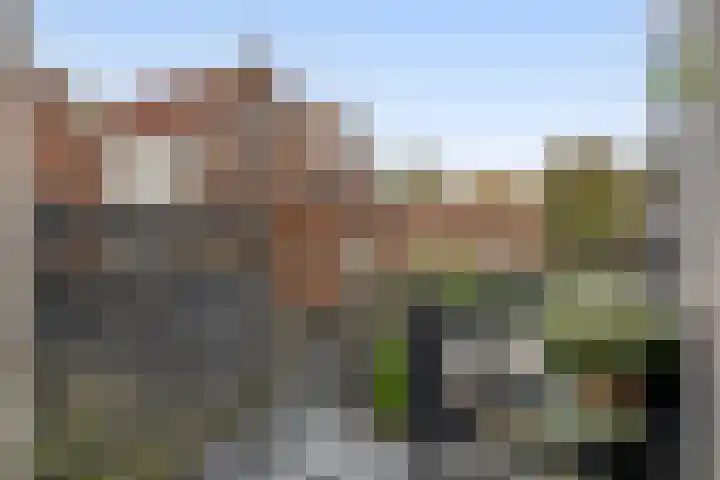 Oudedijkse Schiekade 119 Rotterdam thumbnail 21