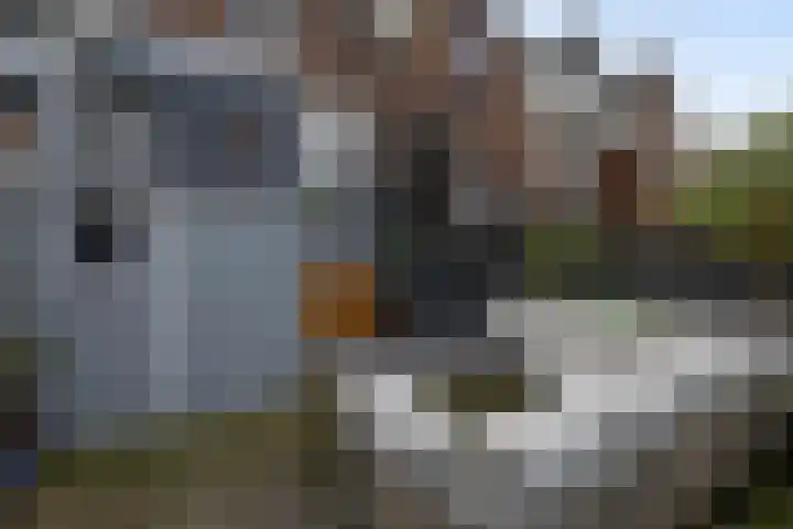 Oudedijkse Schiekade 119 Rotterdam thumbnail 25