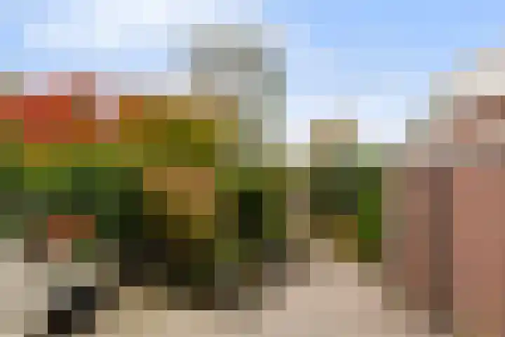 Oudedijkse Schiekade 24 Rotterdam thumbnail 13