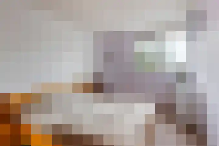 Oudedijkse Schiekade 24 Rotterdam thumbnail 22