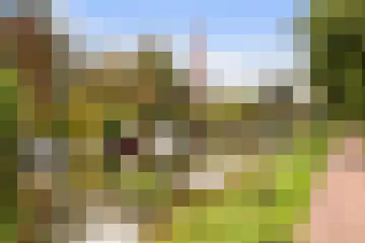 Oudedijkse Schiekade 24 Rotterdam thumbnail 35