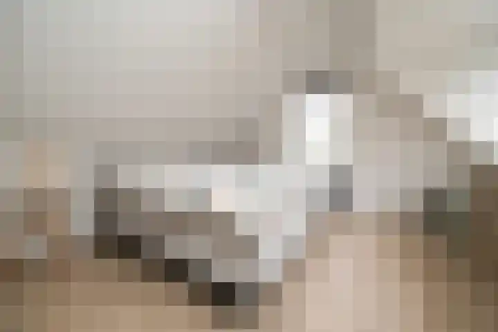 Oudedijkse Schiekade 45 Rotterdam thumbnail 22
