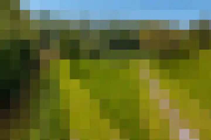 Oudedijksterweg 6 Eenrum thumbnail 10