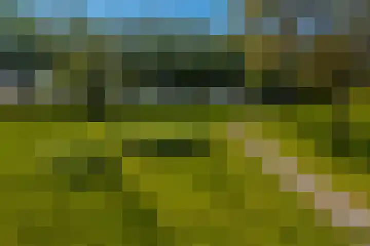 Oudedijksterweg 6 Eenrum thumbnail 11