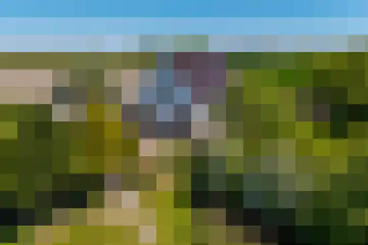 Oudedijksterweg 6 Eenrum thumbnail 12