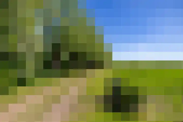 Oudedijksterweg 6 Eenrum thumbnail 13