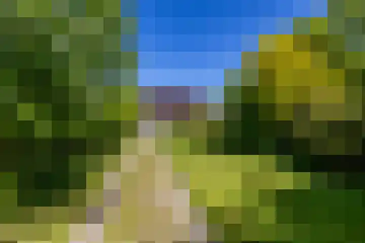 Oudedijksterweg 6 Eenrum thumbnail 14