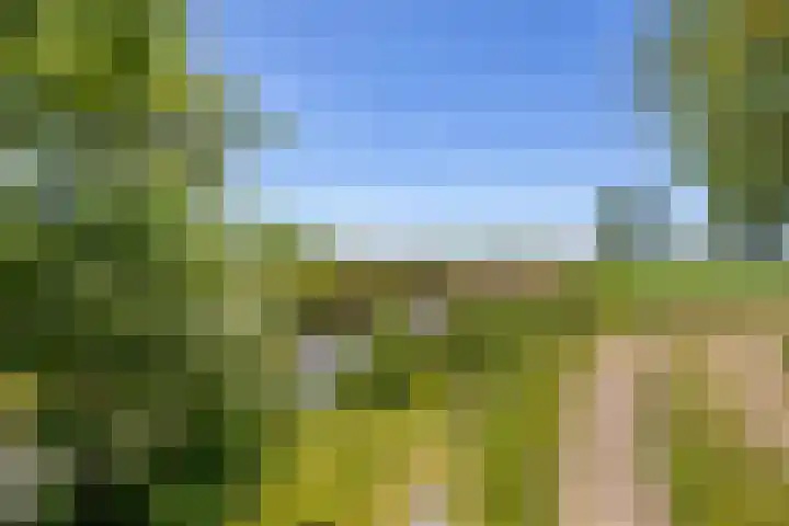 Oudedijksterweg 6 Eenrum thumbnail 15