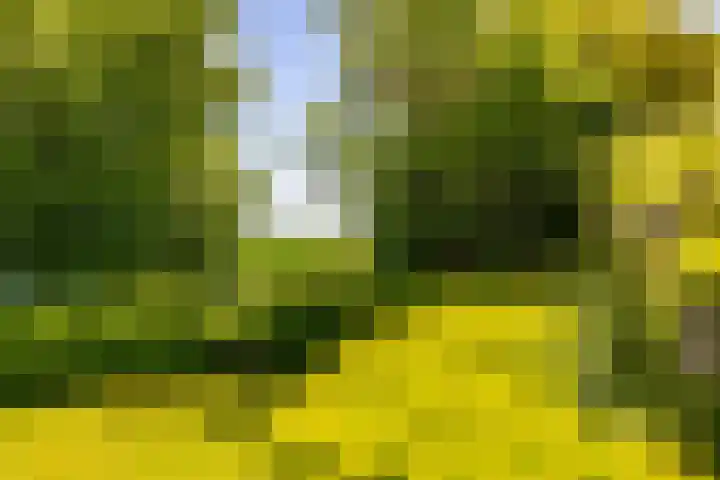 Oudedijksterweg 6 Eenrum thumbnail 16