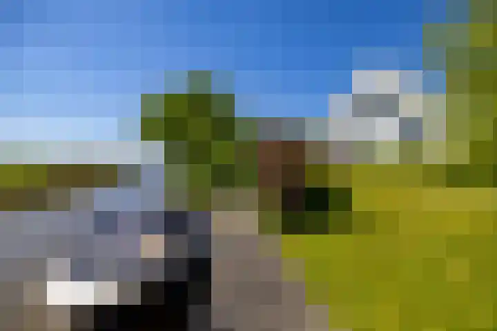Oudedijksterweg 6 Eenrum thumbnail 17