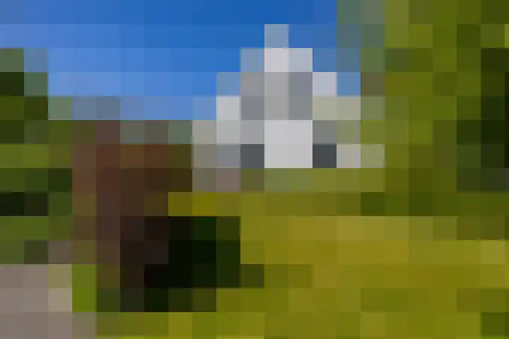 Oudedijksterweg 6 Eenrum thumbnail 18