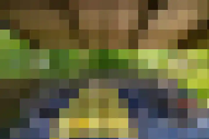 Oudedijksterweg 6 Eenrum thumbnail 21