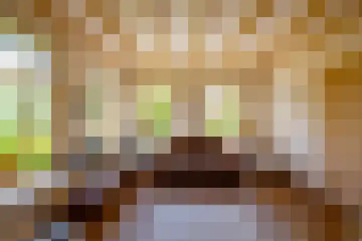 Oudedijksterweg 6 Eenrum thumbnail 27