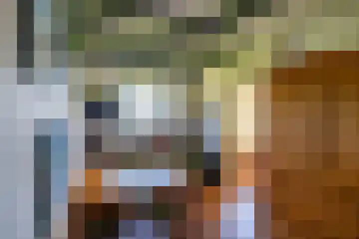 Oudedijksterweg 6 Eenrum thumbnail 28