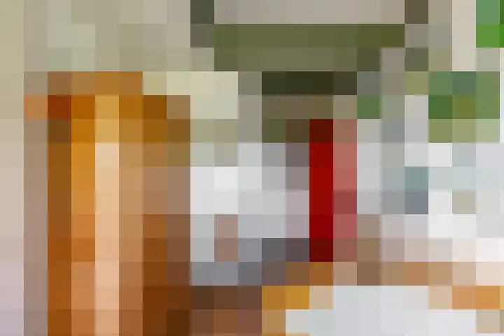 Oudedijksterweg 6 Eenrum thumbnail 29