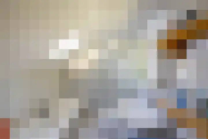Oudedijksterweg 6 Eenrum thumbnail 37