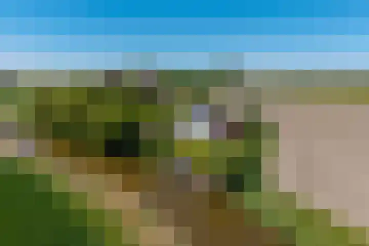 Oudedijksterweg 6 Eenrum thumbnail 4
