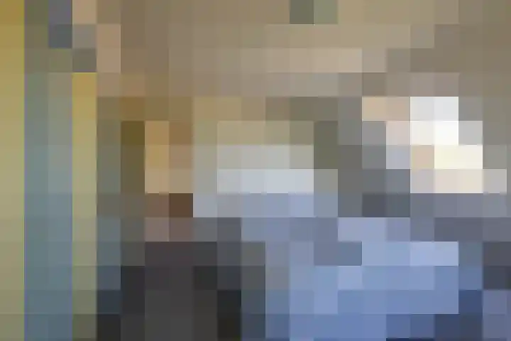Oudedijksterweg 6 Eenrum thumbnail 43