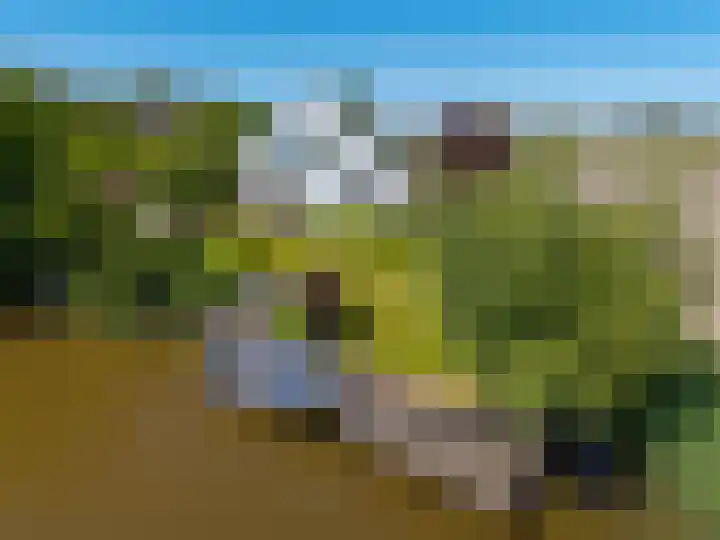 Oudedijksterweg 6 Eenrum thumbnail 48
