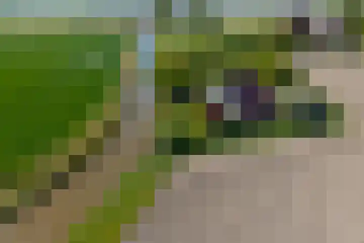 Oudedijksterweg 6 Eenrum thumbnail 6