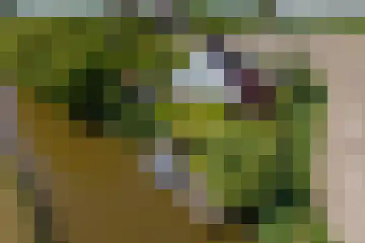 Oudedijksterweg 6 Eenrum thumbnail 7
