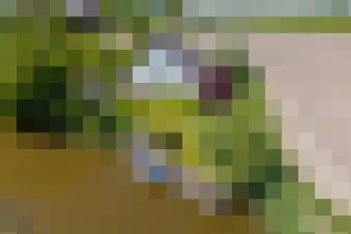 Oudedijksterweg 6 Eenrum thumbnail 8