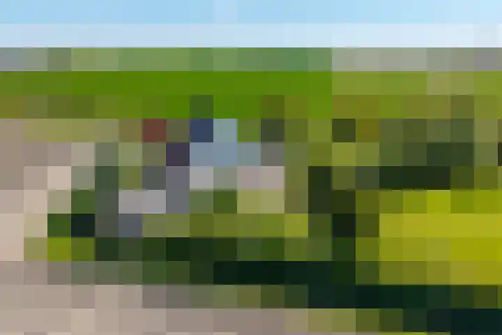 Oudedijksterweg 6 Eenrum thumbnail 9