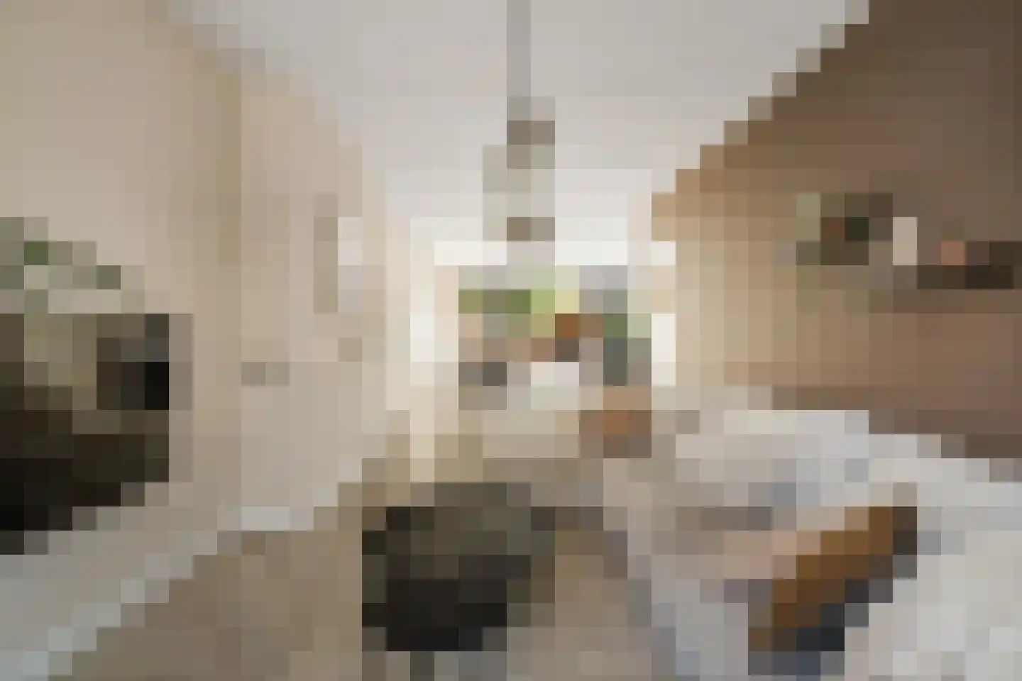 Oudegoedstraat 2 Deventer thumbnail 10