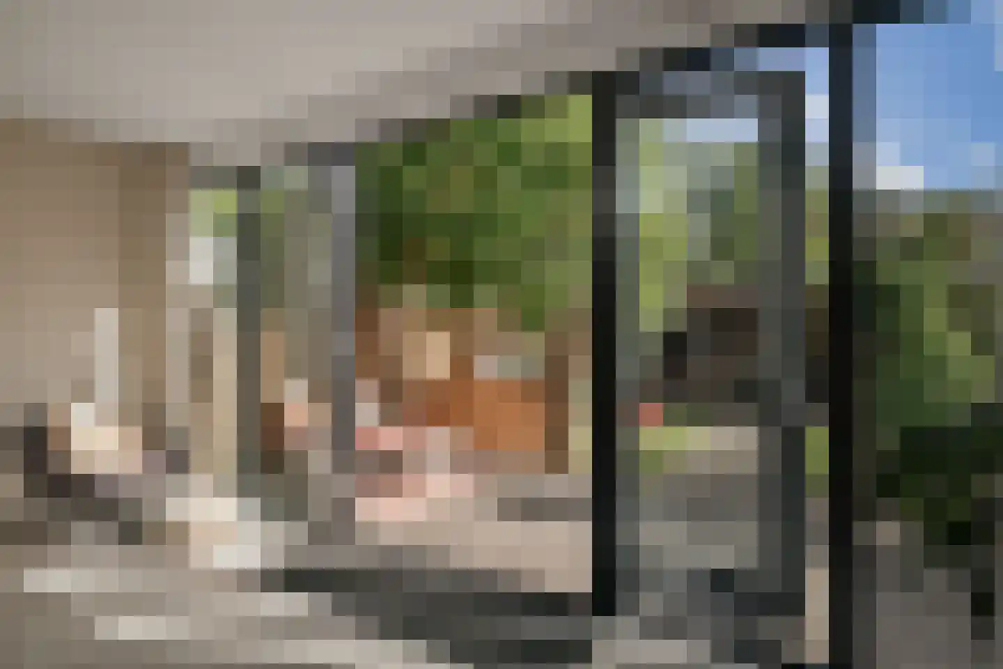 Oudegoedstraat 2 Deventer thumbnail 17